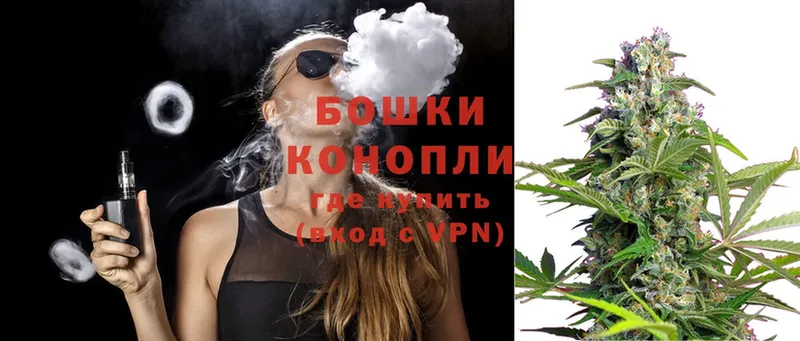 Шишки марихуана Amnesia  shop телеграм  Стерлитамак 